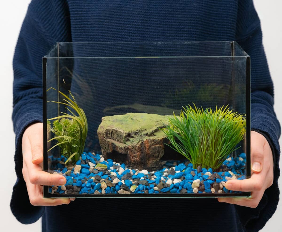 Aquarium Relocation